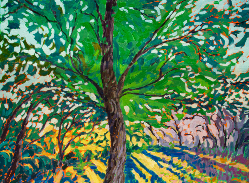 Vision of a Tree