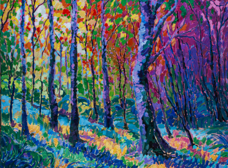 Sunshine forest