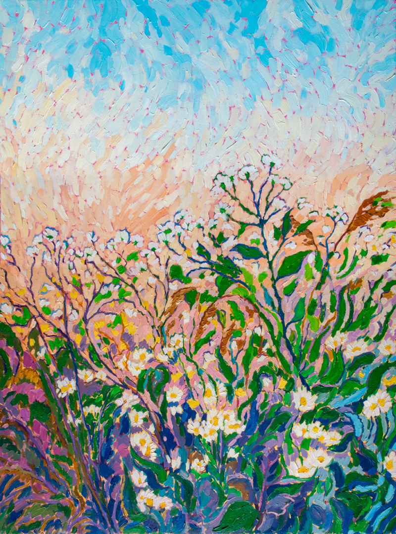 Daisies in the grass